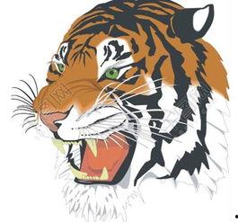 国产老虎沙雕动画合集视频,欢乐无限，笑料横生