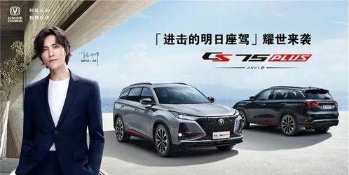 南哥谈国产车的视频