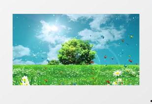 青春草原视频在线国产,国产生态影像的绿色颂歌