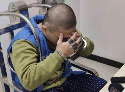 国产借钱小视频,轻松借款，便捷生活新体验