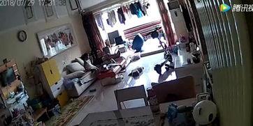 国产电动车爆燃视频